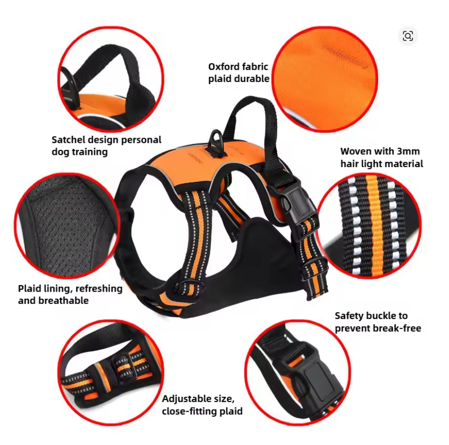 COLLAR ARNES CON CORREA PARA PERROS GRANDES