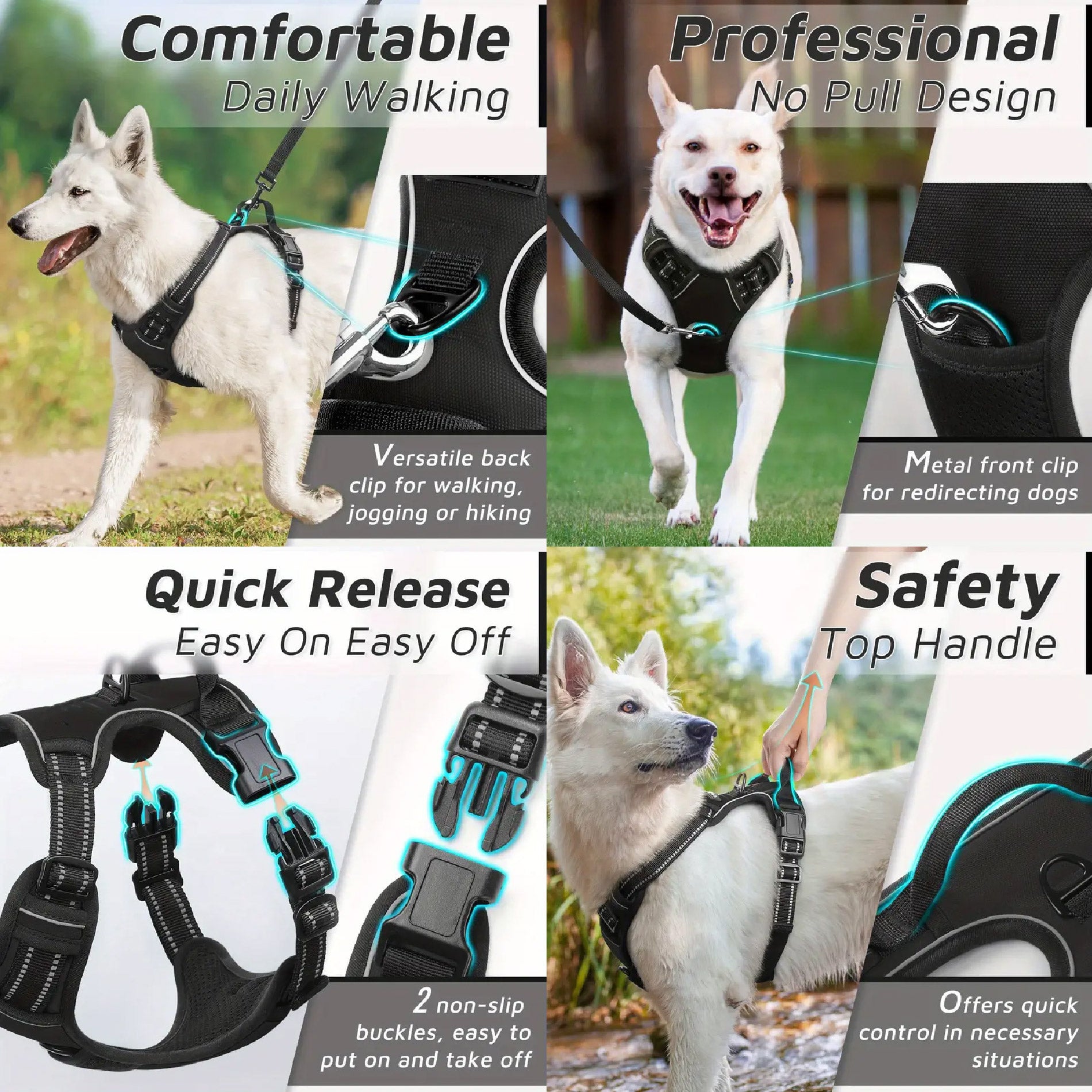 COLLAR ARNES CON CORREA PARA PERROS GRANDES